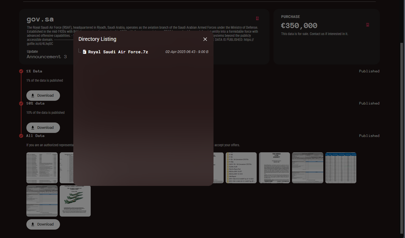 killsec leaks Saudi Air Force F-15 Fighter Jet Documents - details