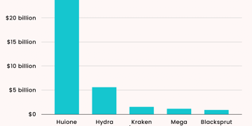The biggest illicit marketplaces